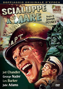 Away All Boats  (1956)  (DVD)
